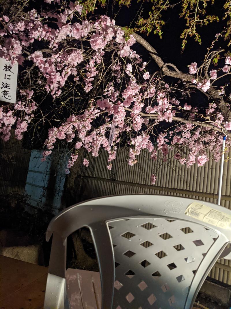 ちゅーSEライフさんの正徳寺温泉初花のサ活写真