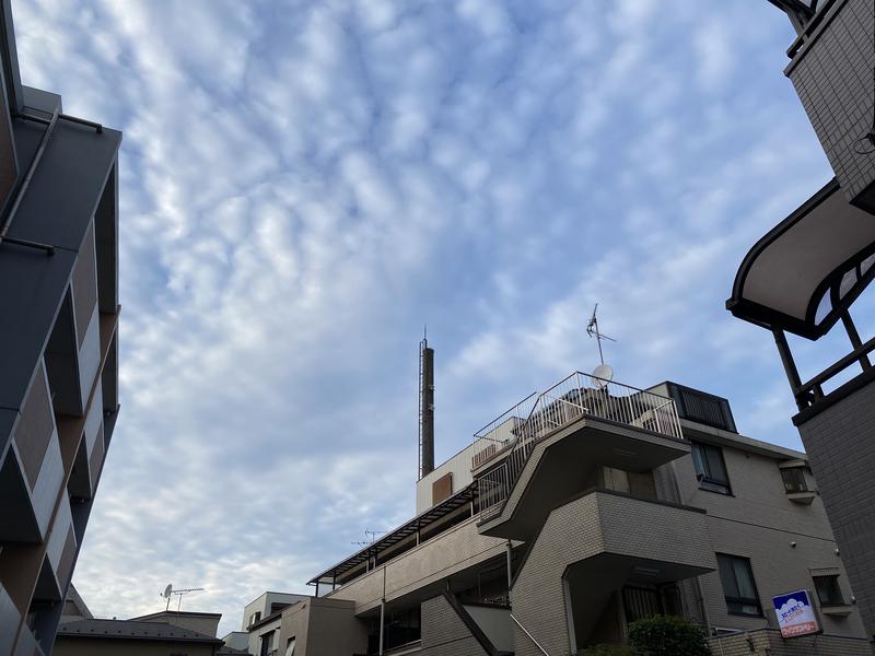 サ・ウナちゃんさんの渋谷笹塚温泉 栄湯のサ活写真