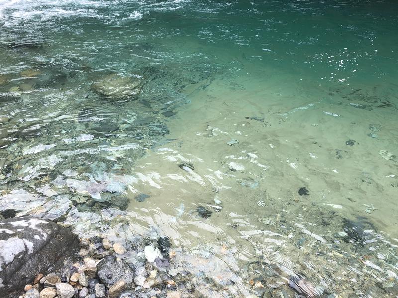 サウナースさんの付知峡倉屋温泉 おんぽいの湯のサ活写真