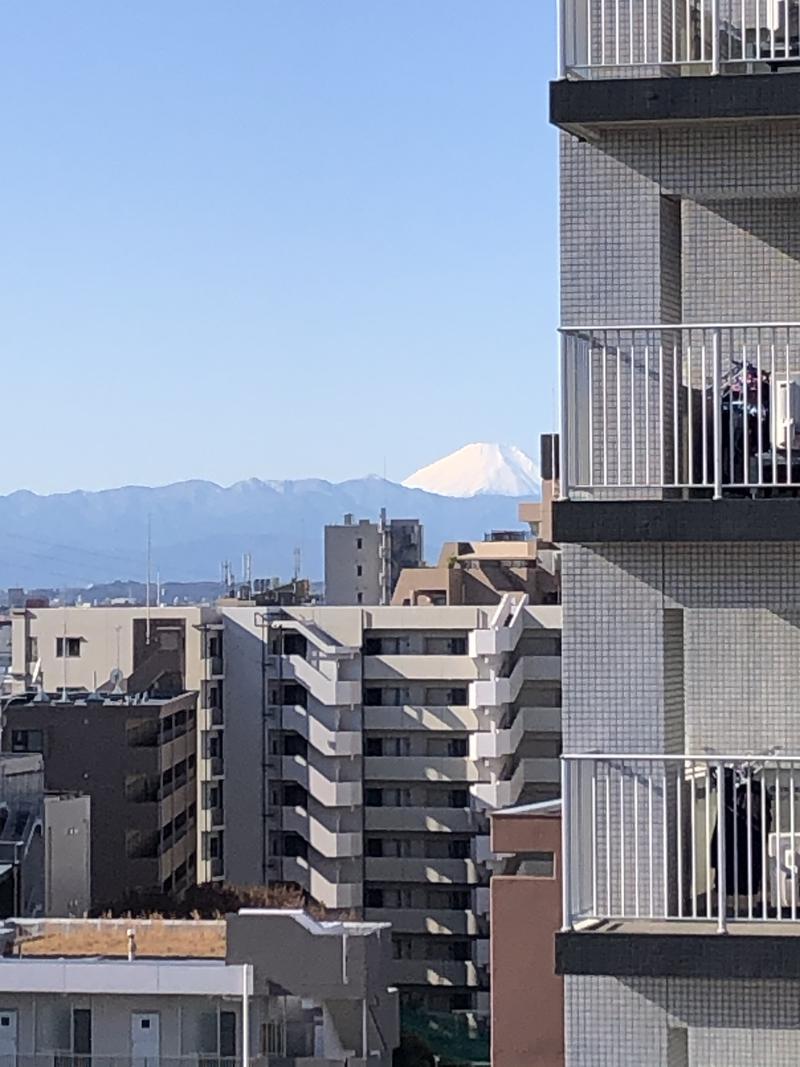 たーぼさんの天空のアジト マルシンスパのサ活写真