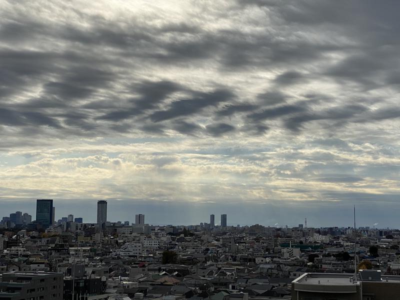 ♨️ふじふじ♨️さんの天空のアジト マルシンスパのサ活写真