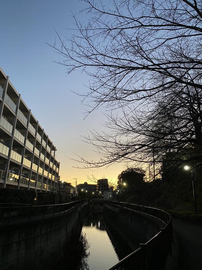 ♨️ふじふじ♨️さんの天空のアジト マルシンスパのサ活写真