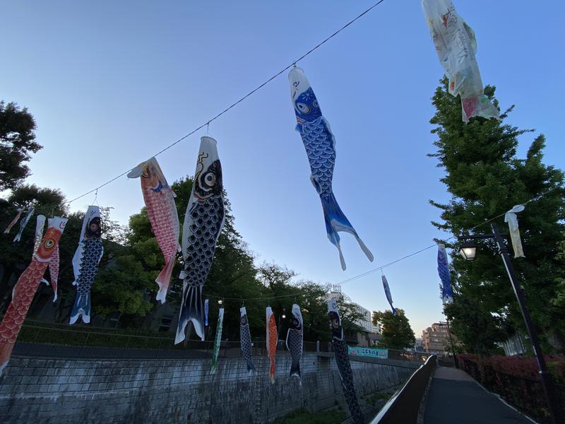 ♨️ふじふじ♨️さんの天空のアジト マルシンスパのサ活写真