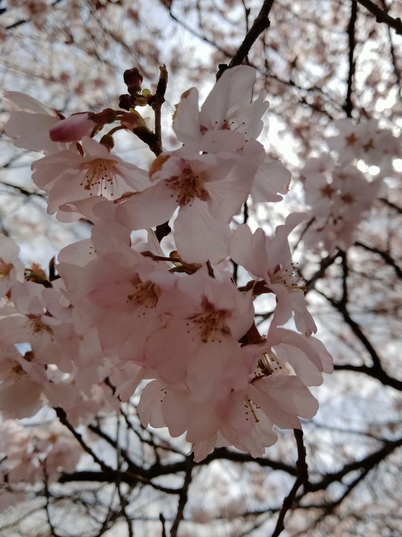 musouさんのうすずみ温泉 四季彩館のサ活写真