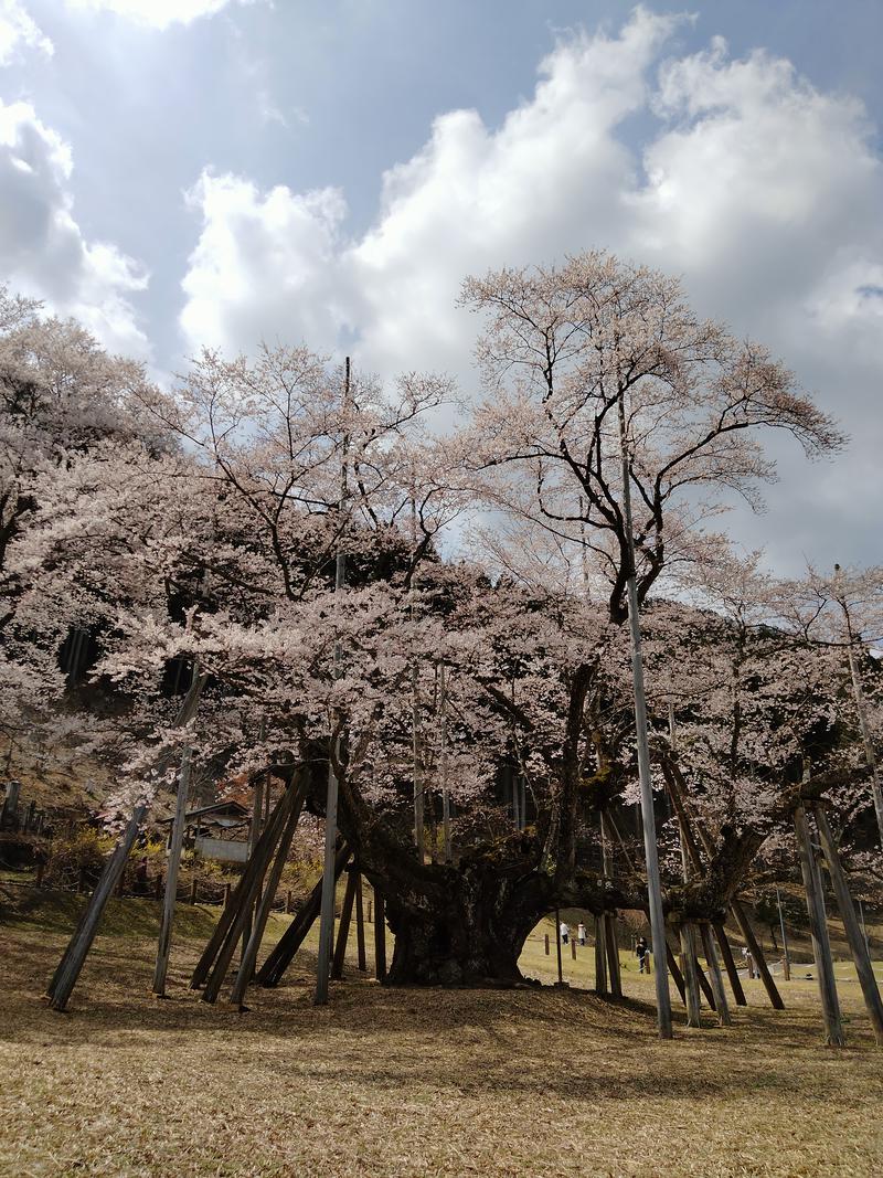 musouさんのうすずみ温泉 四季彩館のサ活写真