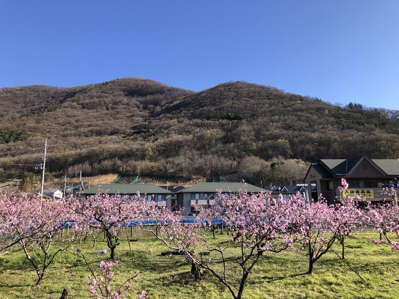 つむぐさんの石和健康ランドのサ活写真