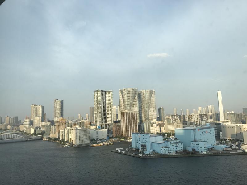 Chenさんのアジュール竹芝 天空の湯のサ活写真