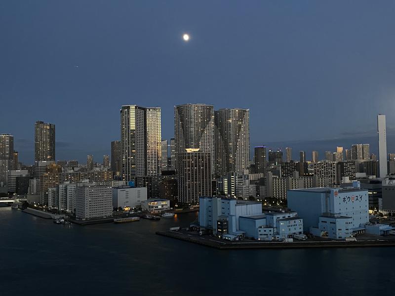 mtakaさんのアジュール竹芝 天空の湯のサ活写真