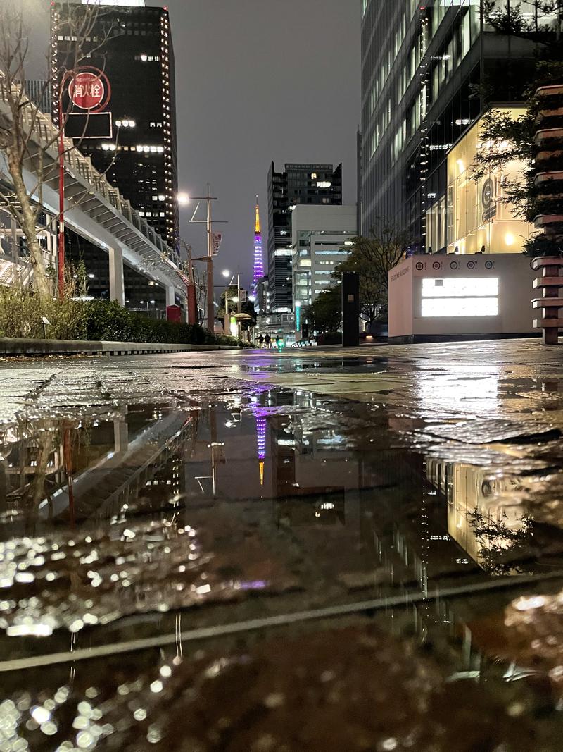 すがさんのアジュール竹芝 天空の湯のサ活写真