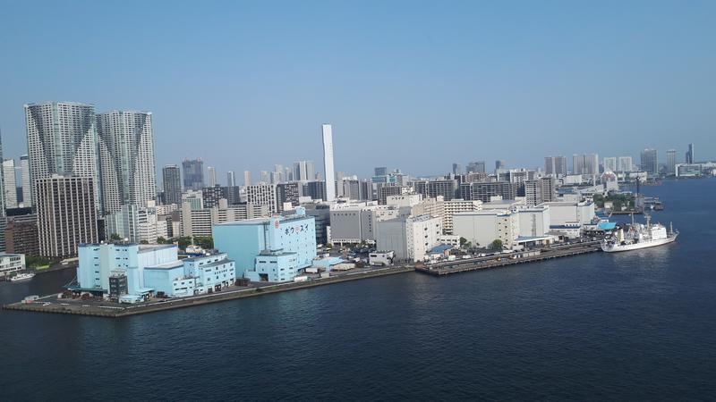 縞りんごさんのアジュール竹芝 天空の湯のサ活写真