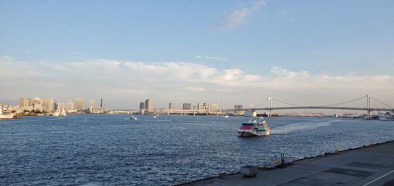 AOさんのアジュール竹芝 天空の湯のサ活写真