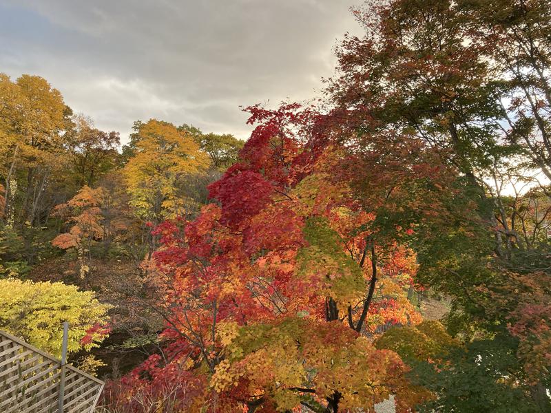 Yuki H Otsukaさんの里の森 森のゆのサ活写真