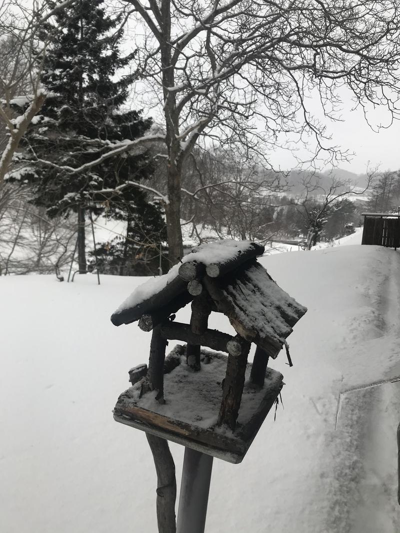 硬雪ダイブで鼻血おぢさんさんの里の森 森のゆのサ活写真