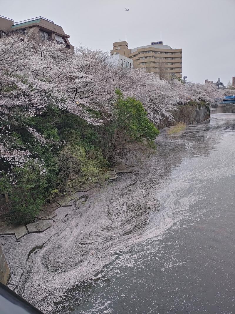 ららるんさんの改良湯のサ活写真