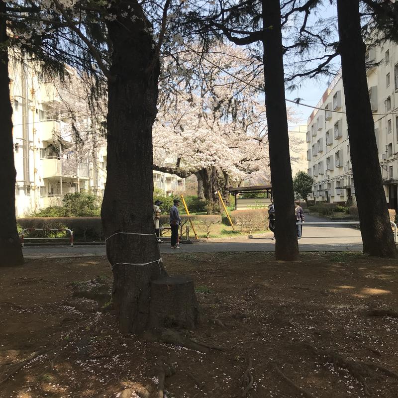 ヤハタトシキさんのそしがや温泉21のサ活写真