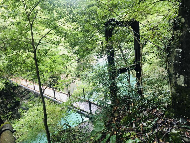 とっつさんの稲城天然温泉 季乃彩(ときのいろどり )のサ活写真