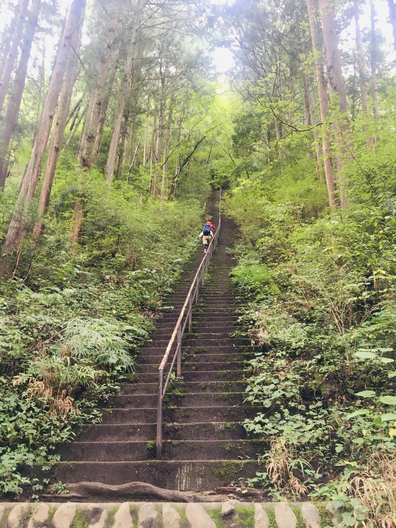 とっつさんの稲城天然温泉 季乃彩(ときのいろどり )のサ活写真