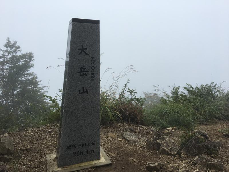 とっつさんの稲城天然温泉 季乃彩(ときのいろどり )のサ活写真