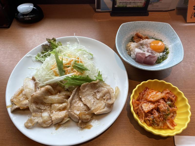 アミノレッドさんの竜泉寺の湯 八王子みなみ野店のサ活写真