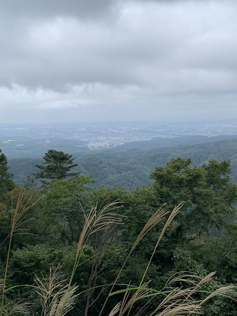 C51さんの京王高尾山温泉 極楽湯のサ活写真