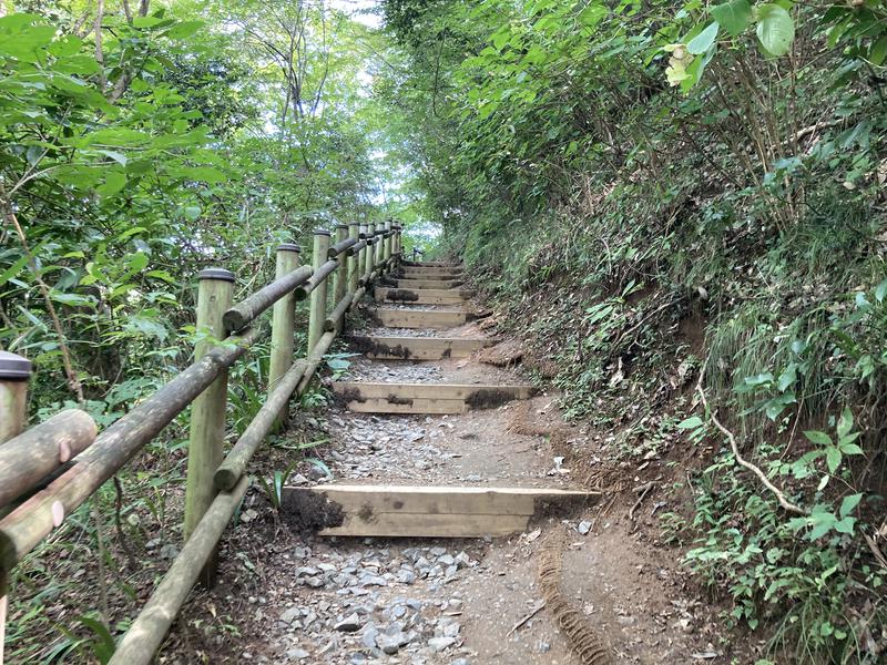 サウなぼりんさんの京王高尾山温泉 極楽湯のサ活写真