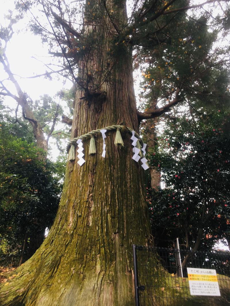 おじゅんさんの京王高尾山温泉 極楽湯のサ活写真