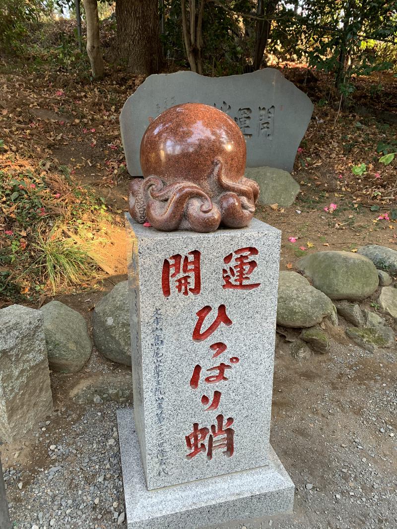 ダンジネスクラブさんの京王高尾山温泉 極楽湯のサ活写真