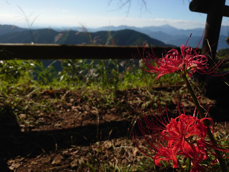 温泉登山トラベラーさんの京王高尾山温泉 極楽湯のサ活写真