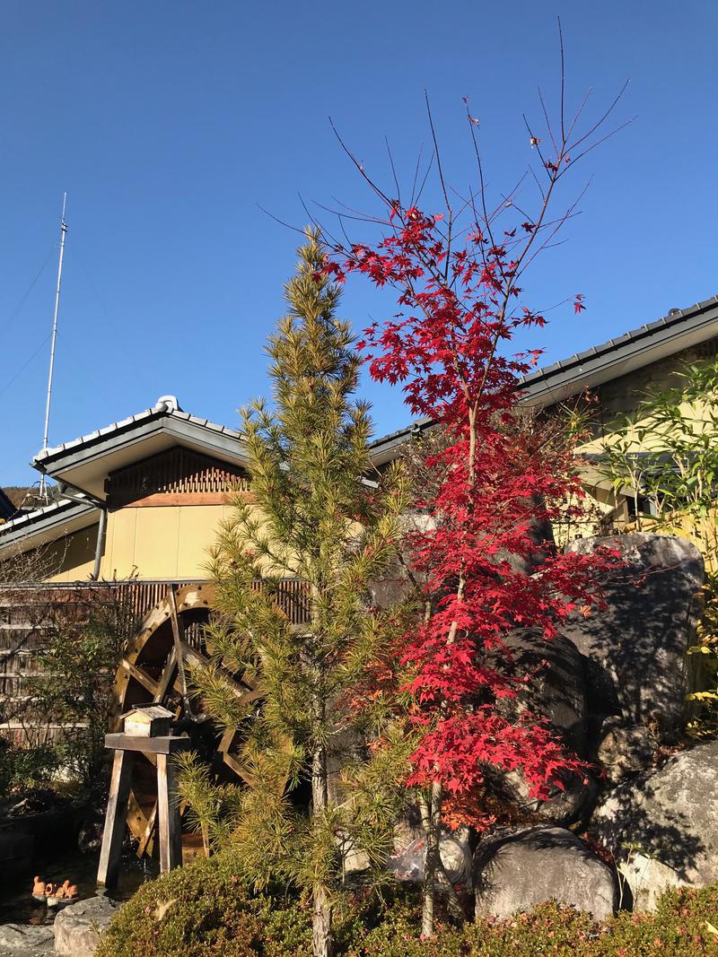 黒猫finkさんの信州まつかわ温泉 清流苑のサ活写真