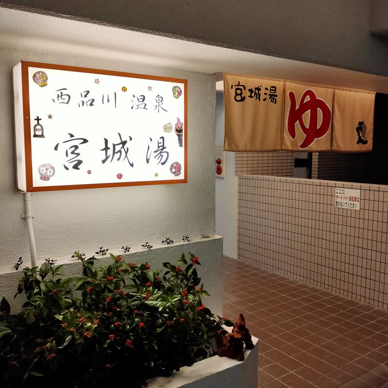 ひげの湯さんの西品川温泉 宮城湯のサ活写真
