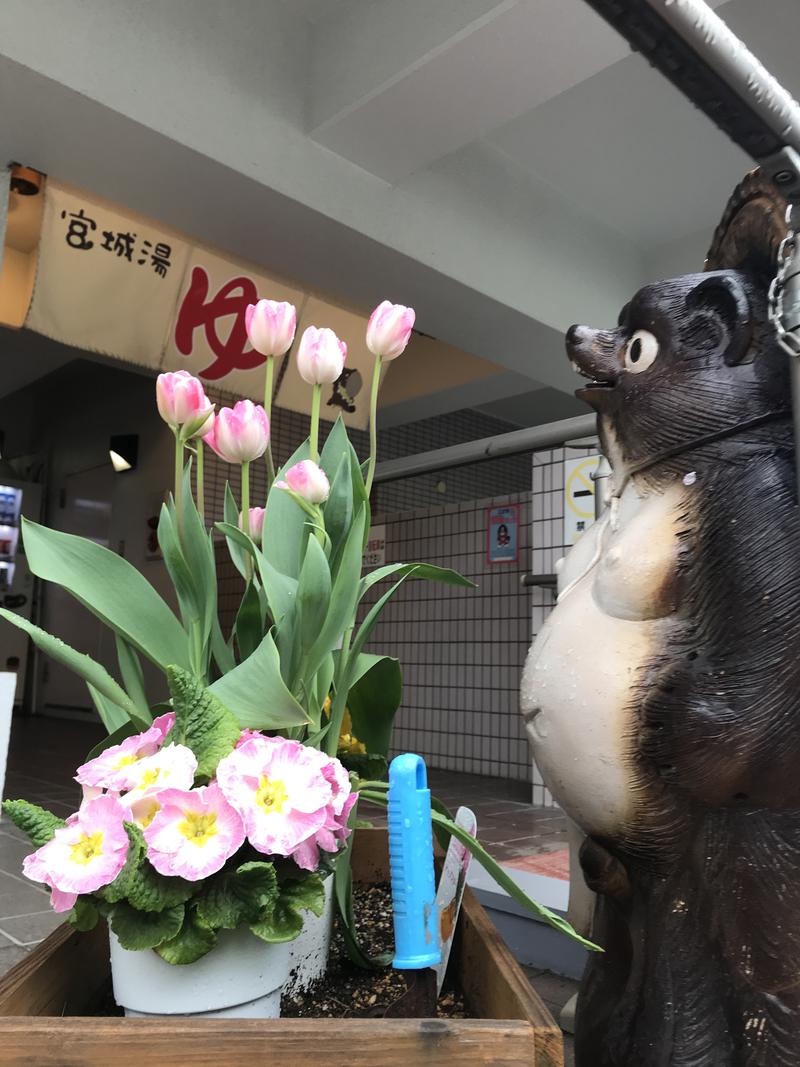 すけさくさんの西品川温泉 宮城湯のサ活写真