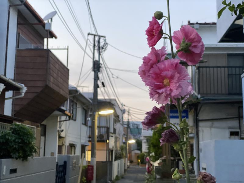 小籠包さんの新生湯のサ活写真