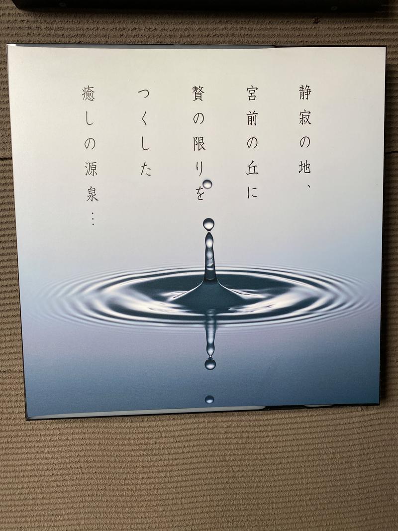 ゴーヤマンさんの宮前平源泉 湯けむりの庄のサ活写真