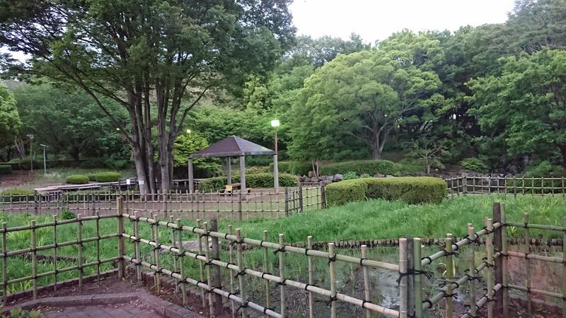 まささんの相模・下九沢温泉 湯楽の里のサ活写真