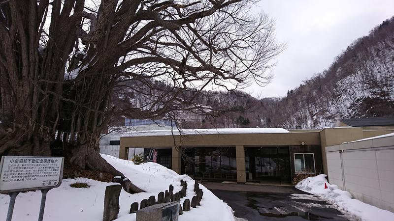 当然さんさんの小金湯温泉 湯元 小金湯のサ活写真