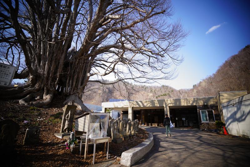 ぱんた。さんの小金湯温泉 湯元 小金湯のサ活写真