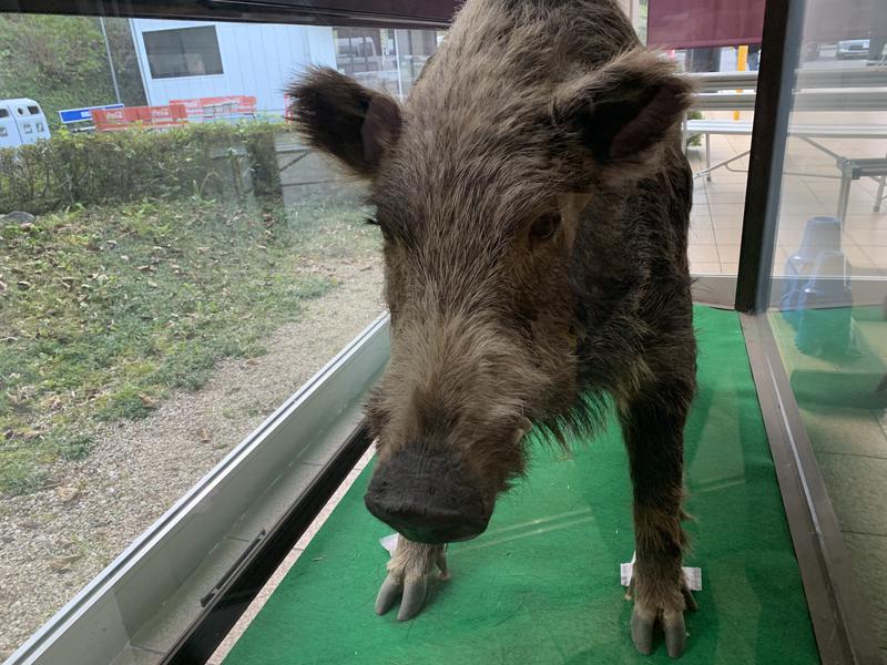 鉄のサウナーさんの秋山温泉のサ活写真