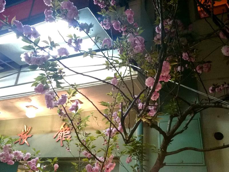 桜館 写真ギャラリー1