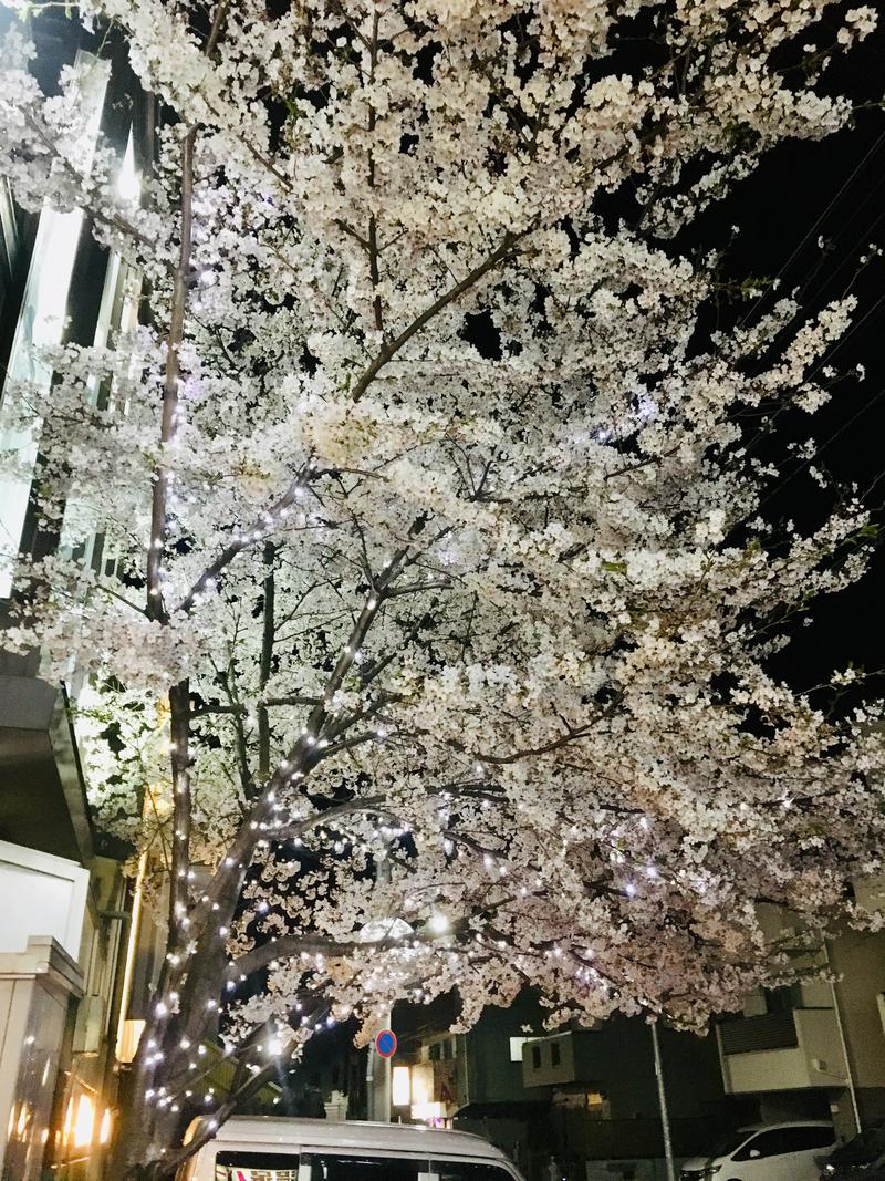 ため息レレレさんの桜館のサ活写真