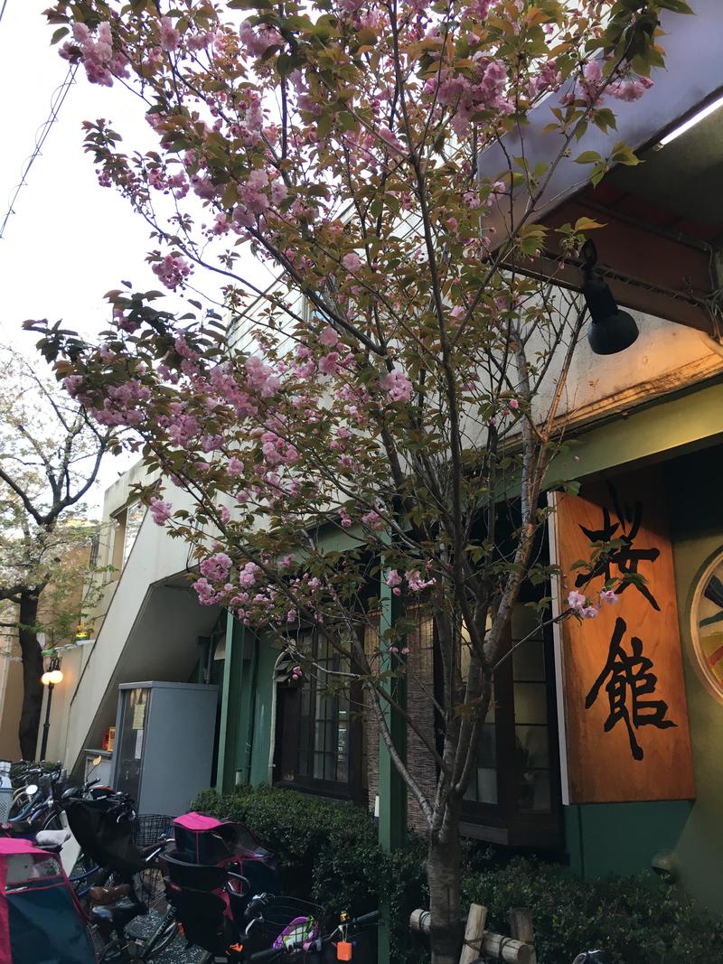溝の口あたるさんの桜館のサ活写真