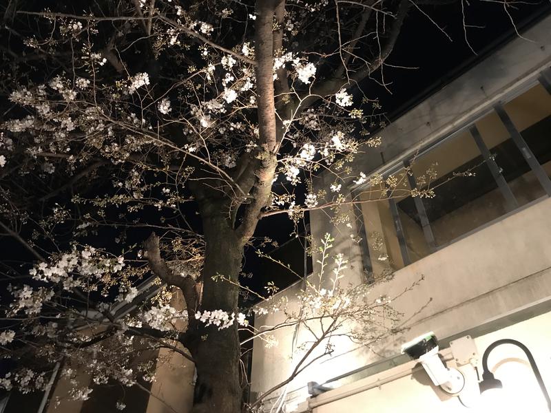 麓水さんの桜館のサ活写真