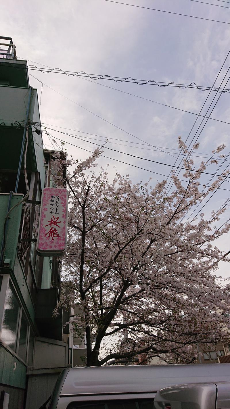 タロシンスパさんの桜館のサ活写真
