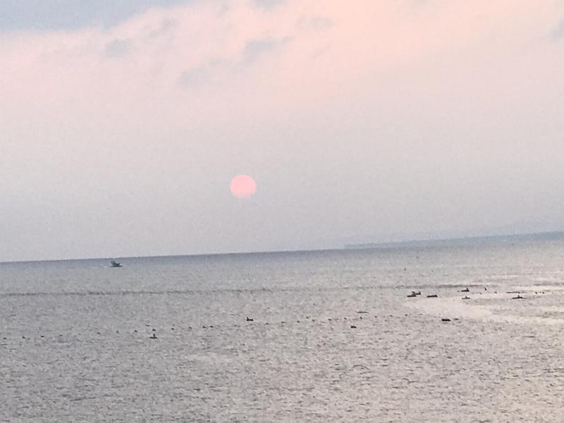 tacchy ブレないウソつかないさんの天然温泉 夕凪の湯 御宿 野乃 境港のサ活写真