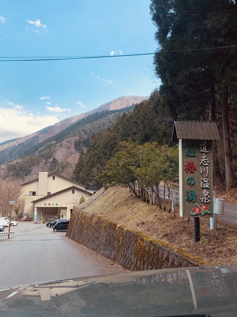 水風呂さんの道志川温泉紅椿の湯のサ活写真