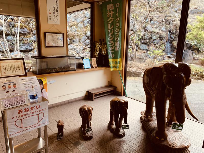 水風呂さんの道志川温泉紅椿の湯のサ活写真