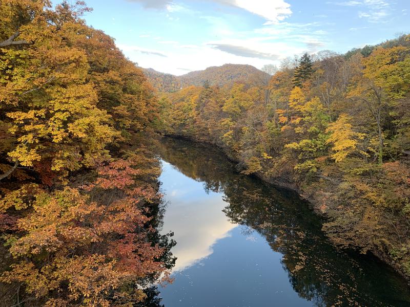 みきっきさんさんの定山渓温泉 湯の花のサ活写真