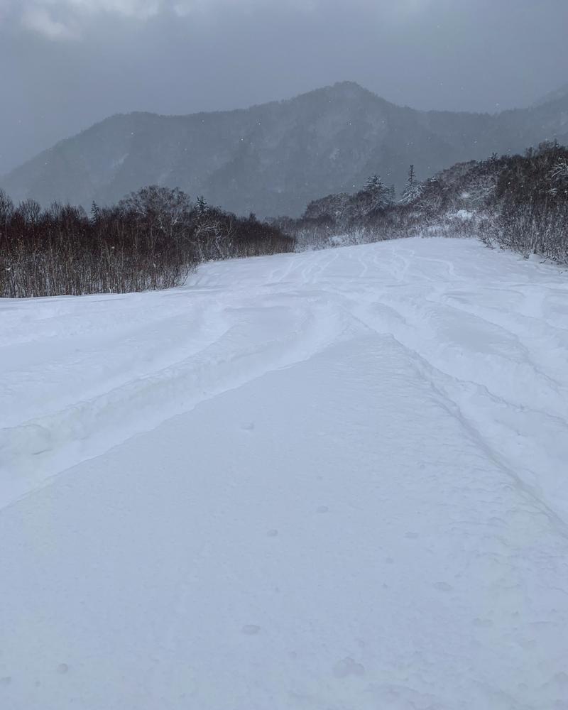 みきっきさんさんの定山渓温泉 湯の花のサ活写真