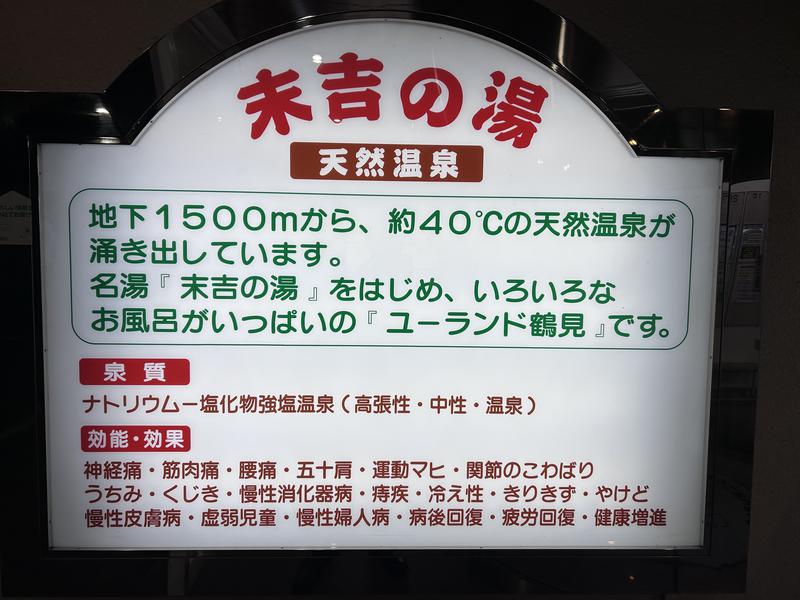 ヨコヤマ・ユーランド鶴見 天然温泉 末吉の湯