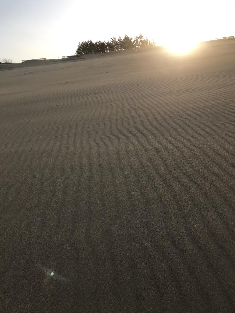 tacchy ブレないウソつかないさんの鳥取ぽかぽか温泉のサ活写真