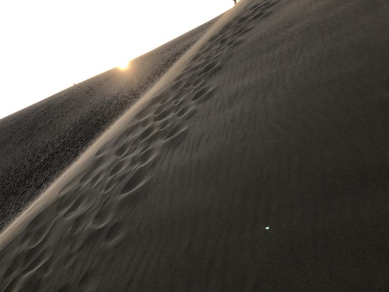 tacchy ブレないウソつかないさんの鳥取ぽかぽか温泉のサ活写真